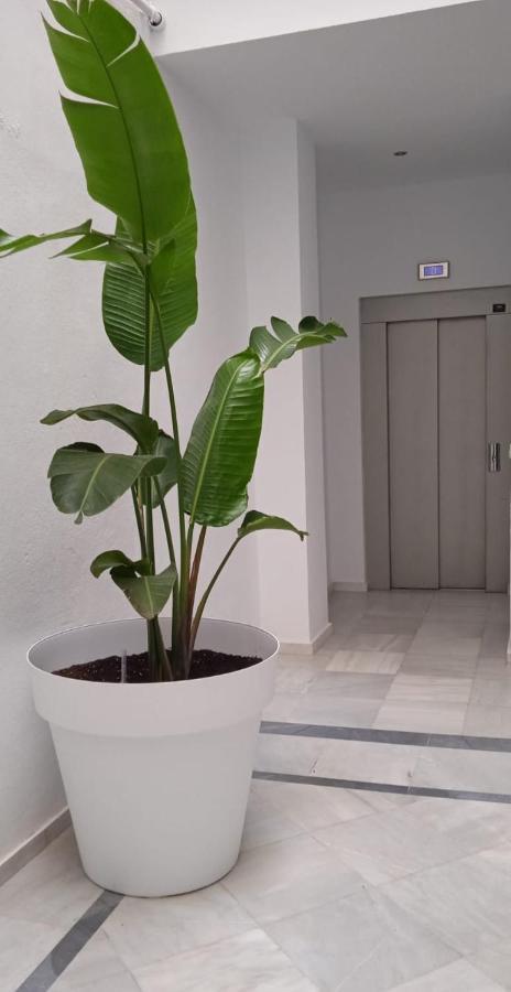 Apartament El 2 De Flamenco 2ºb Kadyks Zewnętrze zdjęcie